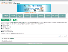 Tablet Screenshot of ami-inter.com
